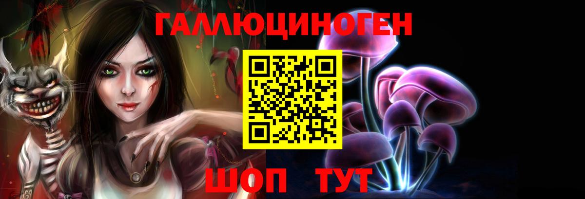 Знаменск  где продают   Галлюциногенные грибы Psilocybe  Вход с VPN  Галлюциногенные грибы Psilocybine cubensis 