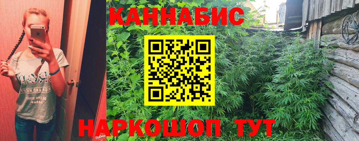 МАРИХУАНА сатива Знаменск